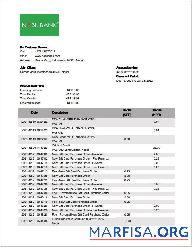 Downloadable Nepal Nabil bank statement word sample